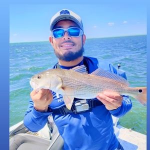 Meet your Posher, Pedro